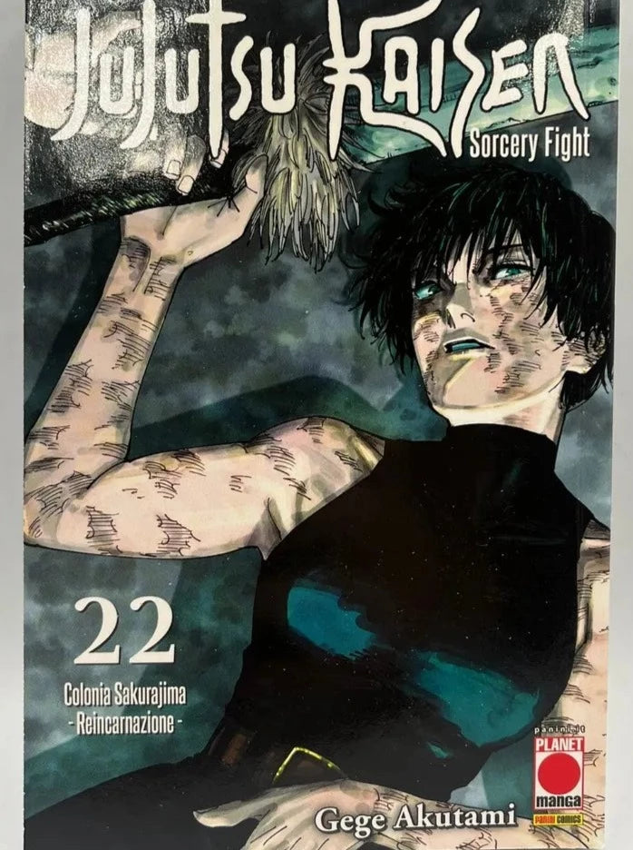 Jujutsu Kaisen Sorcery Fight 22